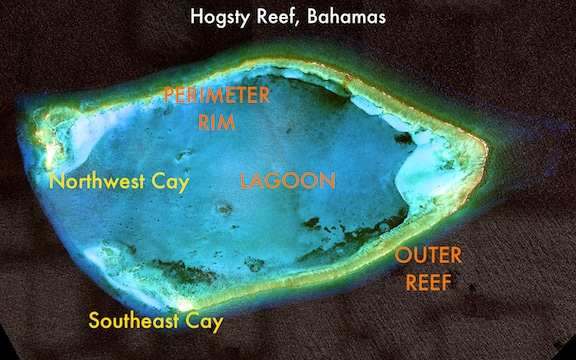 Hogsty Reef